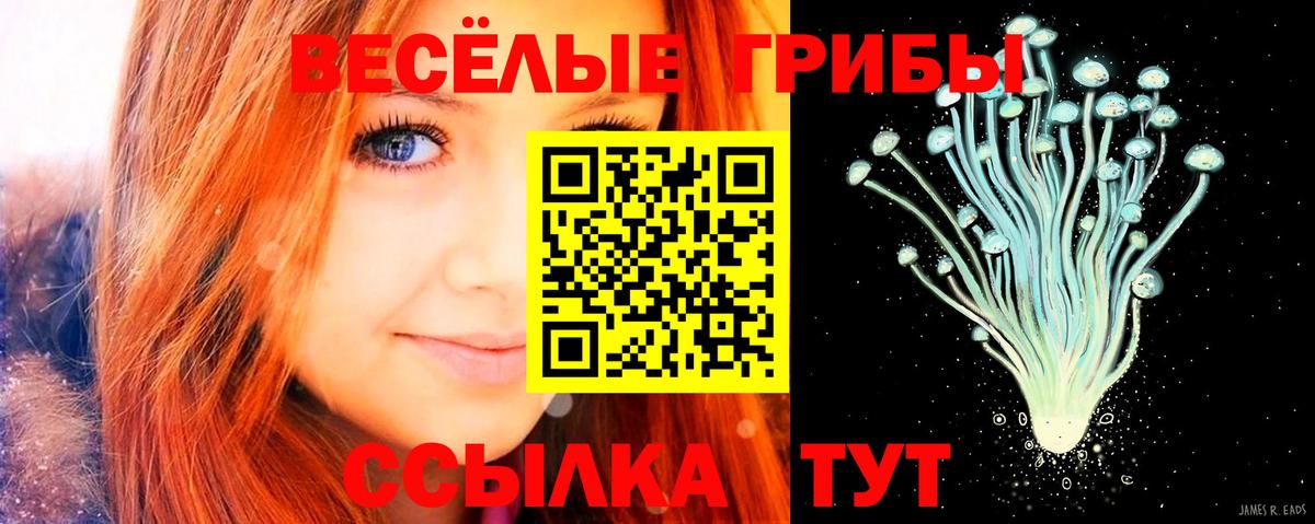 Псилоцибиновые грибы ЛСД Саранск