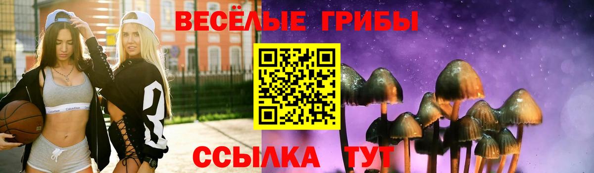 Саранск  Псилоцибиновые грибы Psilocybine cubensis  Вход с VPN 